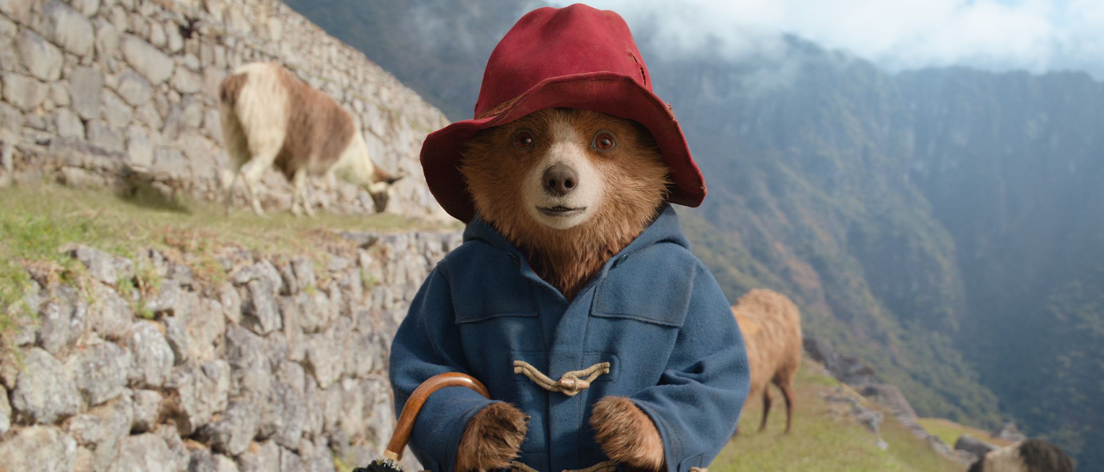 ‘Paddington: aventura en la selva’ Embárcate en una aventura para todos los públicos, ¡no te pierdas el estreno el 21 de febrero!